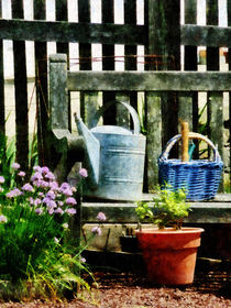 Watering Can and Blue Basket von Susan Savad