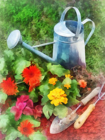 Zinnias and Watering Can von Susan Savad