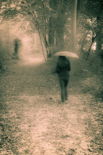 A walk in the woods under the rain... von Benjamin Gaie