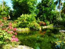 Tropical Garden by Lake by Susan Savad