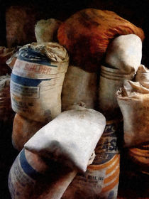 Sacks of Feed by Susan Savad