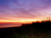 Lonely Beach at Sunrise Norfolk VA by Susan Savad