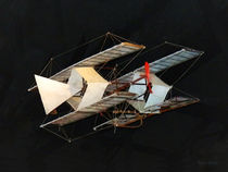 The Timmons Kite by Susan Savad