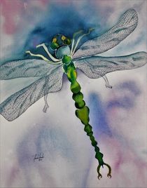Libelle, Insekt, Aquarell von Theodor Fischer