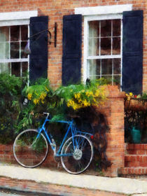 Parked Bicycle by Susan Savad