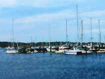 Boats at Newport RI by Susan Savad