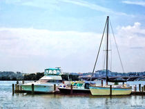 Boats on the Potomac Near Founders Park von Susan Savad