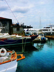 Docked Boats in Newport RI by Susan Savad