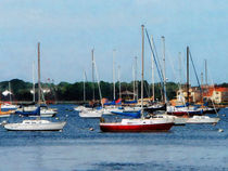 Group of Sailboats Newport RI by Susan Savad