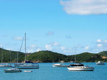 Caribbean - Peaceful Sea St. Thomas by Susan Savad