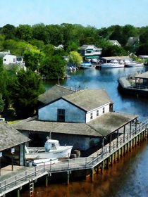 Seaside Town by Susan Savad