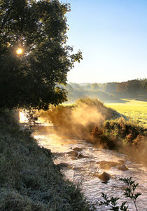 Herbstmorgen am Bach 3 von Bernhard Kaiser