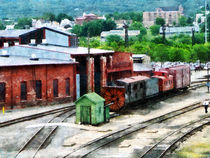 Inside the Train Yard by Susan Savad