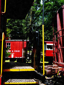 Morristown and Erie Caboose von Susan Savad