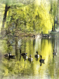 Geese by Willow by Susan Savad