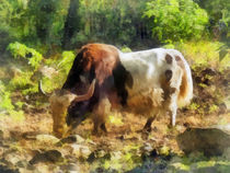 Yak Having a Snack by Susan Savad