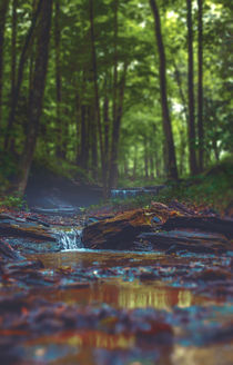 kleiner Bach im Wald von Florian Kunde