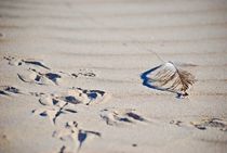 on the beach... 25 by loewenherz-artwork