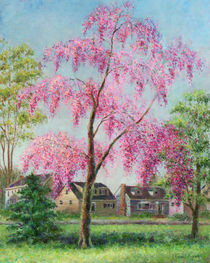 Weeping Cherry by Susan Savad