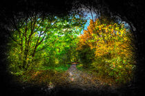 The Early Autumn Forest Vignette  by David Pyatt