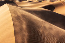 Sahara desert sand dunes in Morocco.  by Rosa Frei