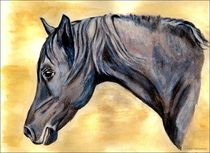 ~ Grey Horse ~ by Sandra  Vollmann