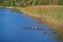 lake Juglas... 2 by loewenherz-artwork