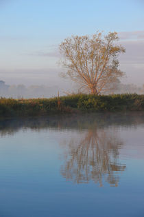 Der Baum am Flussufer by Bernhard Kaiser