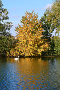 Herbst an der Ruhr von Bernhard Kaiser