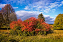 Herbstimpression 2 von Uwe Karmrodt