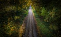 herbst von Manfred Hartmann