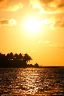 Romantischer Sonnenuntergang in Key West by ann-foto
