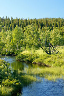 Summer river in northern Sweden von Thomas Matzl
