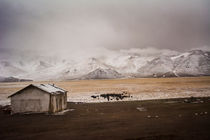 Pamir Highway by Elias Branch