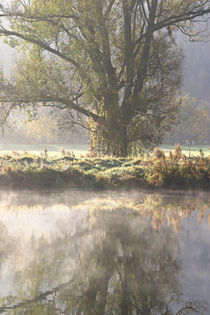 Der Fluss ohne Schwan by Bernhard Kaiser