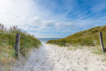 Der Weg zum Meer by hannes cmarits