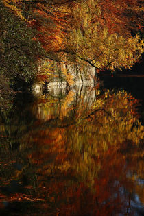 Goldener Herbst V von meleah