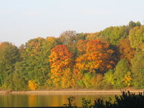 Indiansummer by Angelika  Schütgens