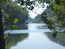 Blick in die Ferne von ivy