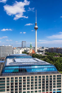 Blick auf Berlin von Rico Ködder
