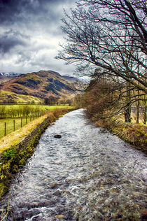 Harmony Flowing by Vicki Field