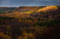 Autumn Contrast by Janis Upitis