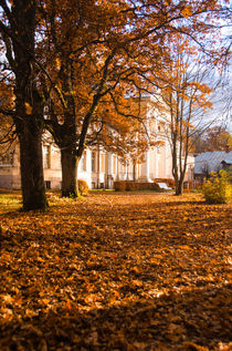 Autumn Leaf Carpet von Janis Upitis