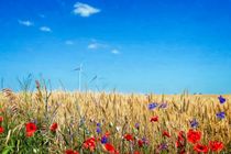 Poppies and Propellers von GabeZ Art