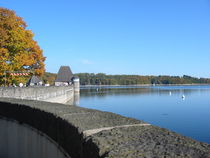 Herbst am Wasser von Angelika  Schütgens