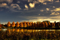 Herbst by Helge Lehmann