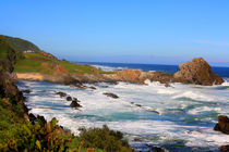 Tsitsikamma National Park - Garden Route in South Africa by Mellieha Zacharias