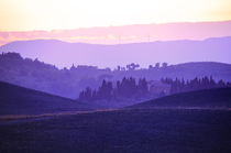 Landschaft Toskana Italien / italian landscape Tuscany von Thomas Schaefer