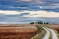 Landschaft Toskana Italien / italian landscape Tuscany by Thomas Schaefer