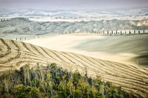 Landschaft Toskana Italien / italian landscape Tuscany von Thomas Schaefer